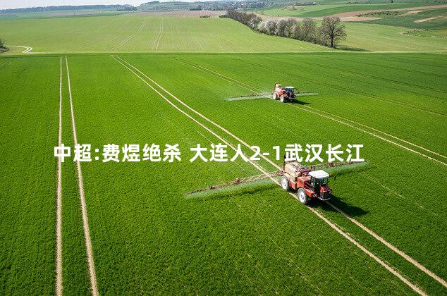 中超:费煜绝杀 大连人2-1武汉长江